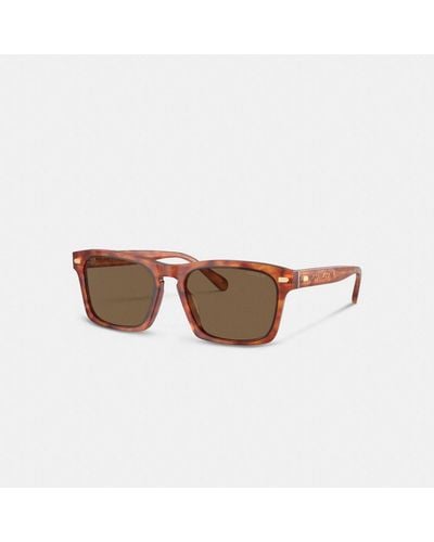 COACH Keyhole Square Sunglasses - Brown
