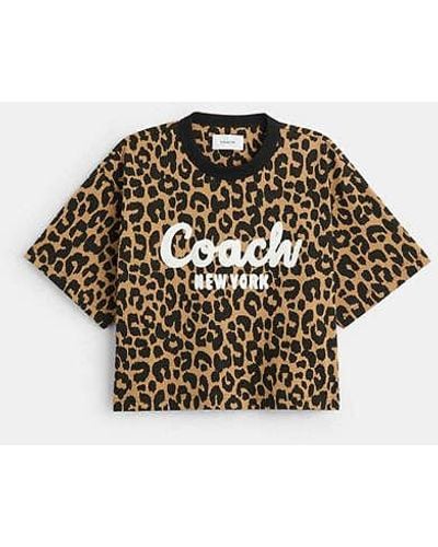 COACH Leopard Cursive Signature Cropped T Shirt - Multicolor