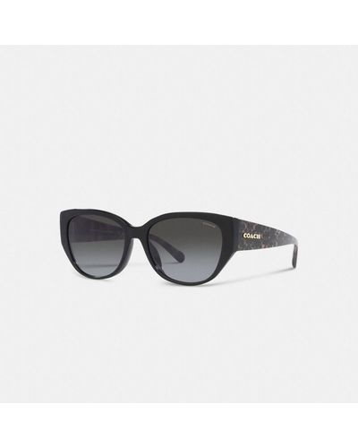 COACH Signature Rounded Cat Eye Sunglasses - Black