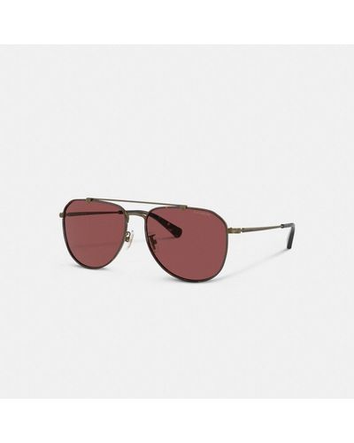 COACH Metal Windsor Pilot Sunglasses - Brown