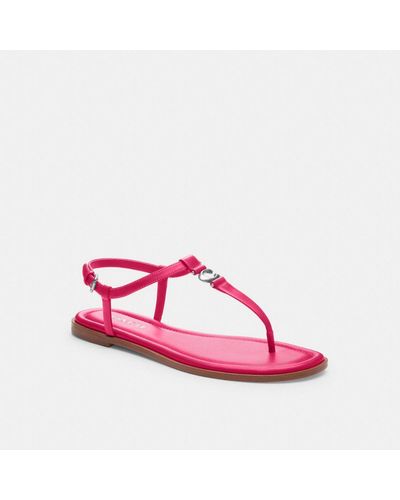 pink coach flats