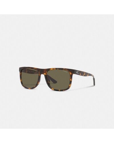 COACH Beveled Signature Flat Top Square Sunglasses - Multicolour