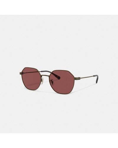 COACH Hinged Geometric Round Sunglasses - Brown