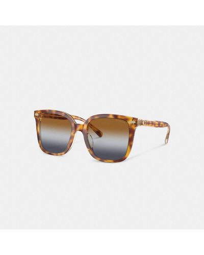 COACH Beveled Signature Oversized Square Sunglasses - Brown