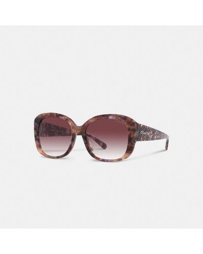 COACH Signature Oversized Square Sunglasses - Brown