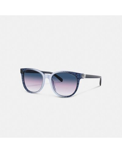 COACH Horse And Carriage Cat Eye Sunglasses - Blue