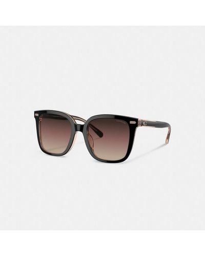 COACH Beveled Signature Oversized Square Sunglasses - Brown