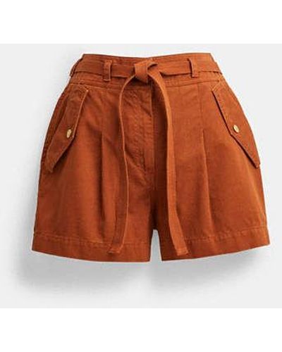 COACH Garment Dyed Shorts - Brown