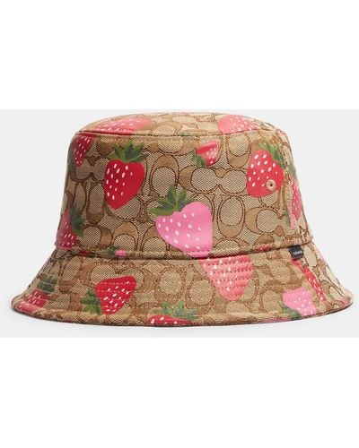 COACH Signature Wild Strawberry Print Bucket Hat - Red