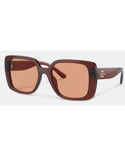 COACH Oversized Square Sunglasses - Brown
