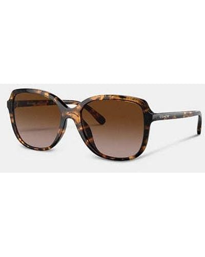 COACH Geometric Square Sunglasses - Brown