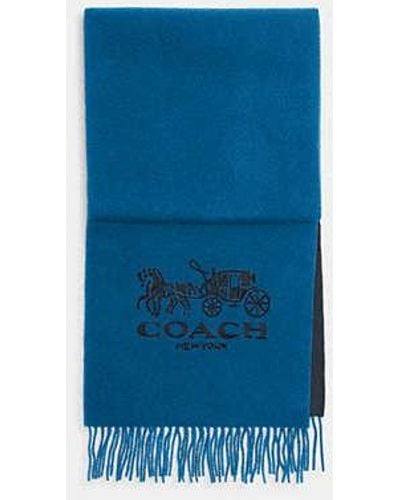 COACH Horse And Carriage Bicolor Cashmere Muffler - Blue