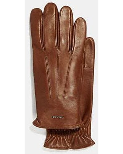 COACH Tech Nappa Gloves - Black