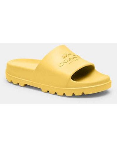 COACH Jac Slide - Yellow