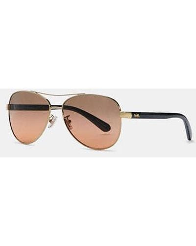 COACH Horse And Carriage Pilot Sunglasses - Brown