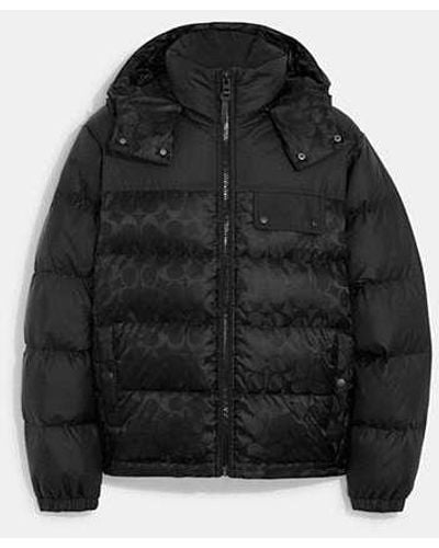 COACH Signature Hooded Puffer Jacket - Black