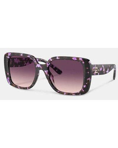 COACH Oversized Square Sunglasses - Purple