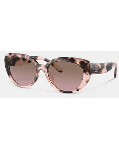 COACH Cateye Sunglasses - Brown