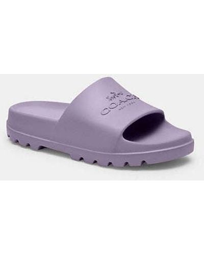 COACH Jac Slide - Purple
