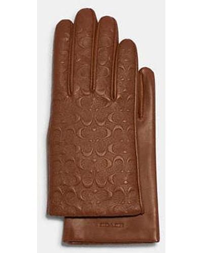 COACH Signature Leather Tech Gloves - Brown