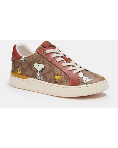 COACH Coach X Peanuts Clip Low Top Sneaker In Signature Canvas With Snoopy Woodstock Print - Pink