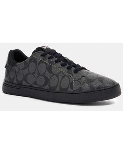 COACH Clip Low Top Sneaker - Black