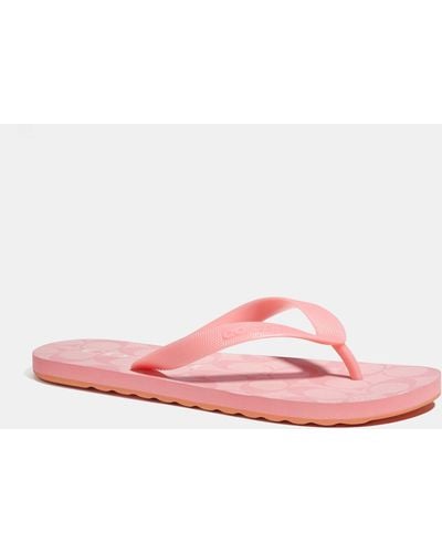 COACH Zak Flip Flop - Pink