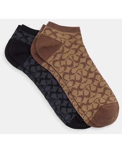 COACH Signature Ankle Socks - Brown