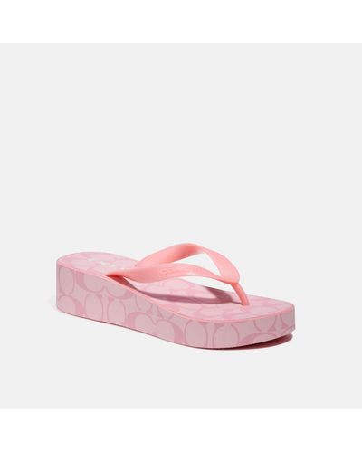COACH Lynn Flip Flop - Pink