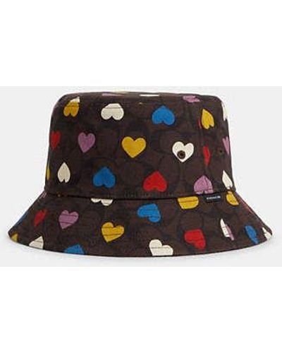 COACH Signature Love Print Bucket Hat - Black