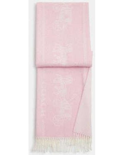 COACH Classic Horse And Carriage Oversized Muffler - Pink