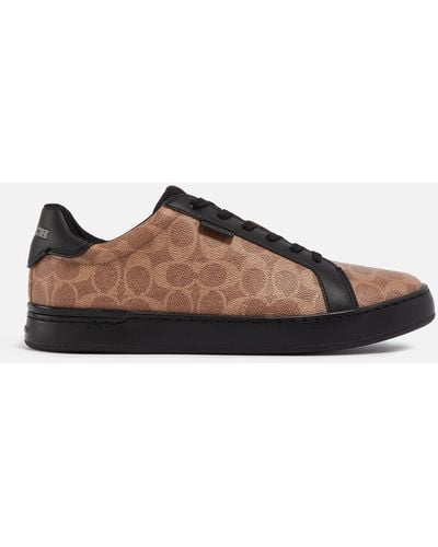 COACH Lowline Signature Low Top Sneaker - Brown