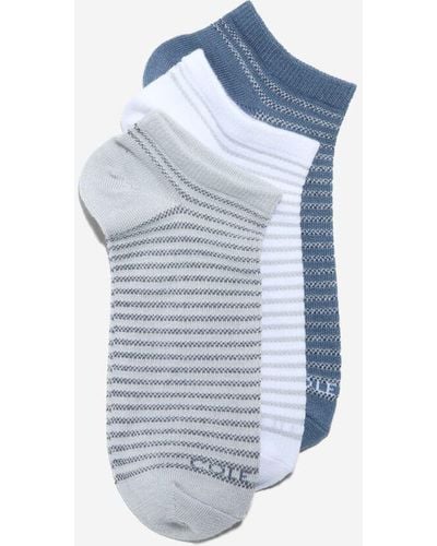 Cole Haan Women's 3-pack Stripe Soft Low-cut Socks - Blue