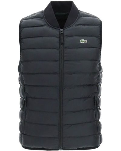 Lacoste vest hot sale mens for sale