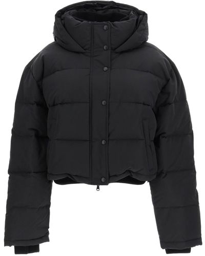 Wardrobe NYC Cropped Puffer Jacket - Black