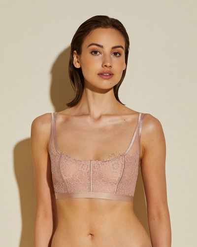Cosabella Pull On Bralette - Brown