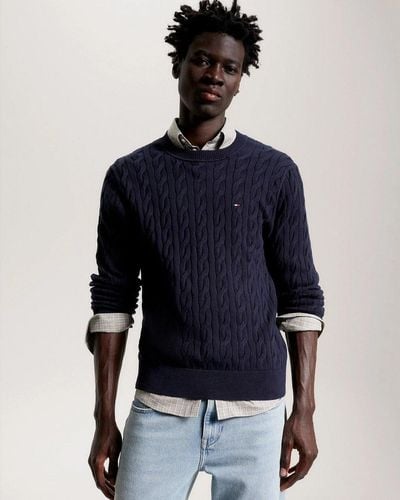 Tommy hilfiger navy best sale sweater