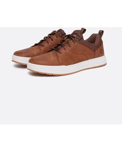 Timberland Maple Grove Low Sneakers - Brown