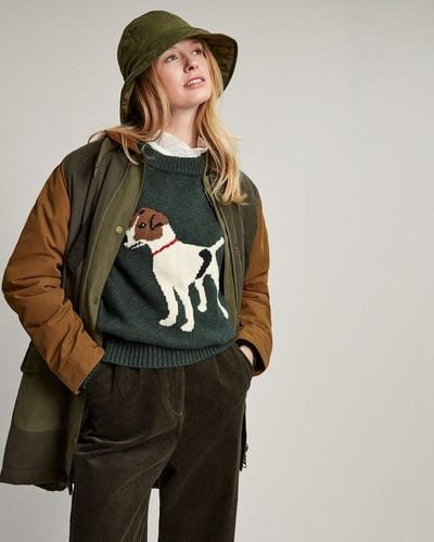 Joules Margot Intarsia Dog Sweater - Brown