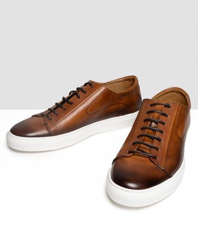 Oliver Sweeney Sirolo Calf Leather Lightweight Trainers - Brown