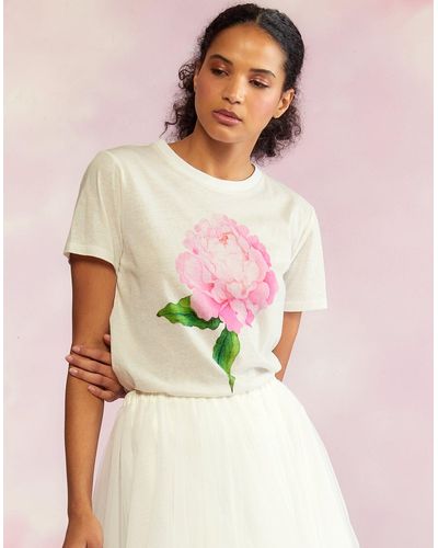cynthia rowley t shirts marshalls