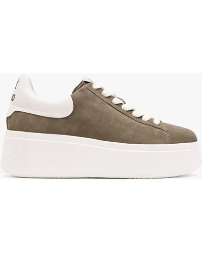 Ash Moby Be Kind Mud Off White Chrome Free Suede Sneakers - Brown