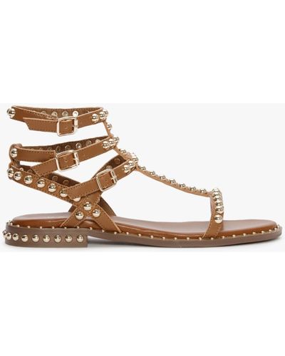 Daniel Eternal Tan Leather Studded Gladiator Sandals - Brown