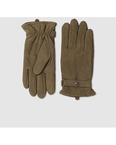 Barbour gloves womens Green new arrivals