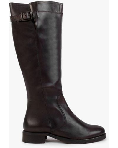 Manas Brown Leather Knee High Boots