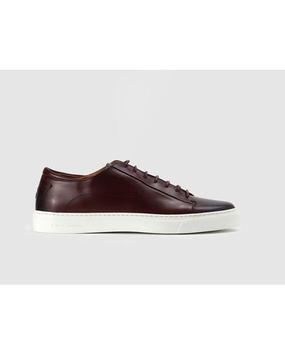 Oliver Sweeney Mens Sirolo Trainers In Burgundy - White