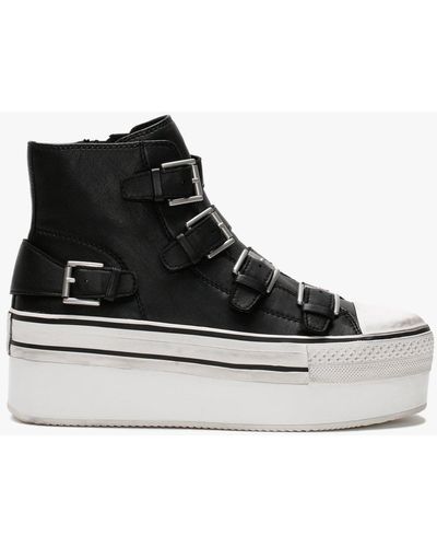 Ash Jewel Black Leather Buckled High Top Platform Sneakers