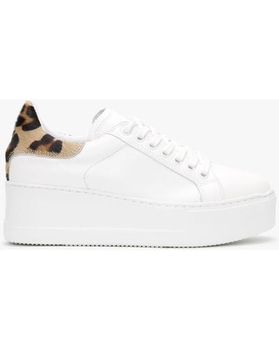 Daniel Scramble Leopard Leather Flatform Sneakers - White