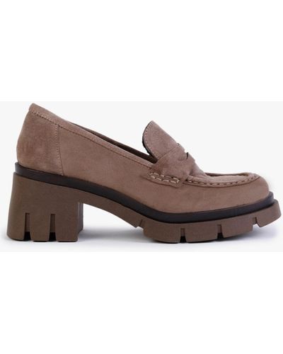 Daniel Luckyloaf Taupe Suede Chunky Loafers - Brown