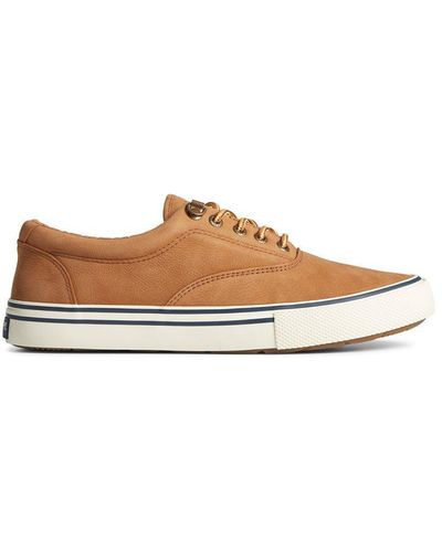Sperry Top-Sider 'striper Storm Cvo' Wp Leather Shoe - Brown
